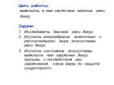 Цель работы: выяснить, в чем заключено величие реки Амур. Задачи: Исследовать бассейн реки Амур; Изучить многообразие животного и растительного мира экосистемы реки Амур; Изучить состояние экосистемы, выяснить чем загрязнен Амур, причины и последствия его загрязнения, какие меры по защите существуют