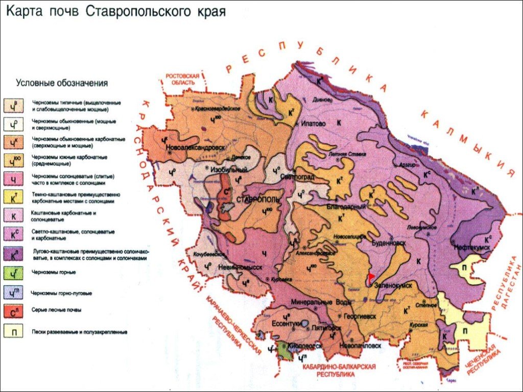 Карта растительности ставропольского края