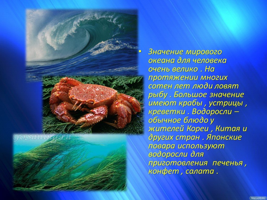 Роль океанов в жизни людей. Значение мирового океана. Роль океана в жизни человека. Мирового океан в жизни человекаэ. Роль мирового океана для человека.