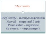 New words. Explicitly – недвусмысленно. Naval – морской (-ая). Prankster – шутник (в конт. – «пранкер»)
