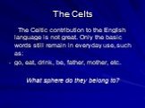 The Celtic contribution to the English language is not great. Only the basic words still remain in everyday use, such as: go, eat, drink, be, father, mother, etc. What sphere do they belong to?