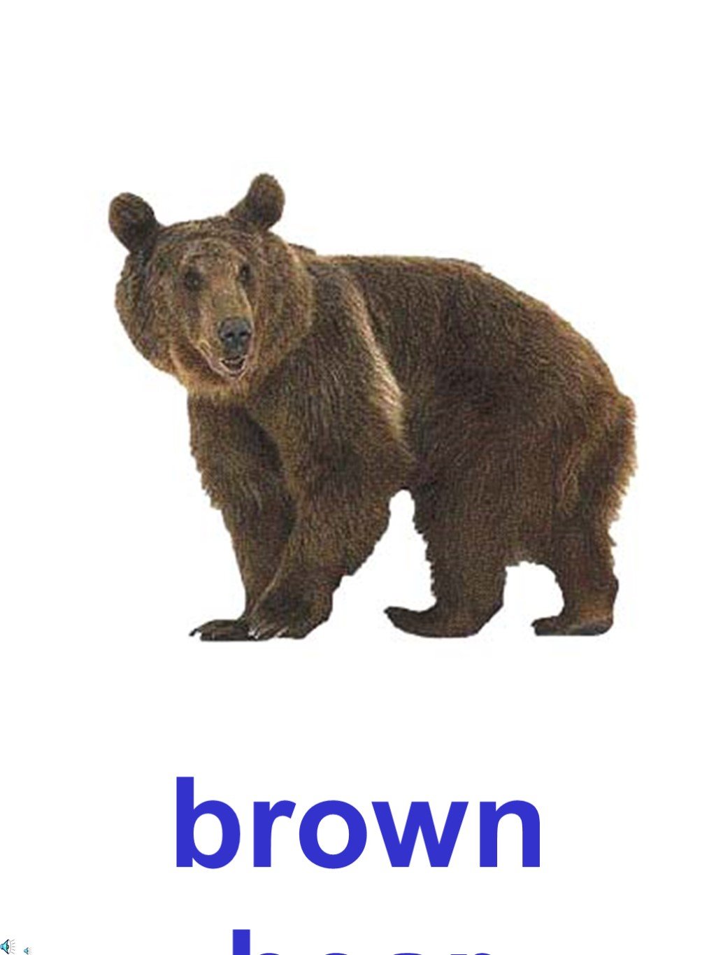 Произносим слово медведь. Медведь карточка для детей. Карточки с изображением медведя для детей. Бурый медведь. Карточки животных медведь,.