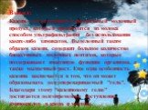 Вывод: Казеин - естественный и натуральный молочный продукт, который производится из молока способом ультрафильтрации без использования каких-либо химикатов. Выделенный таким образом казеин, содержит большое количество биоактивных молочных пептидов, которые поддерживают иммунную функцию организма, а