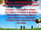 Казеин — богатый источник доступного кальция и фосфора. Казеин — богатый источник доступного кальция и фосфора. Препараты казеина широко применяются в медицине, особенно при парентеральном питании.