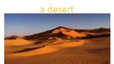 a desert