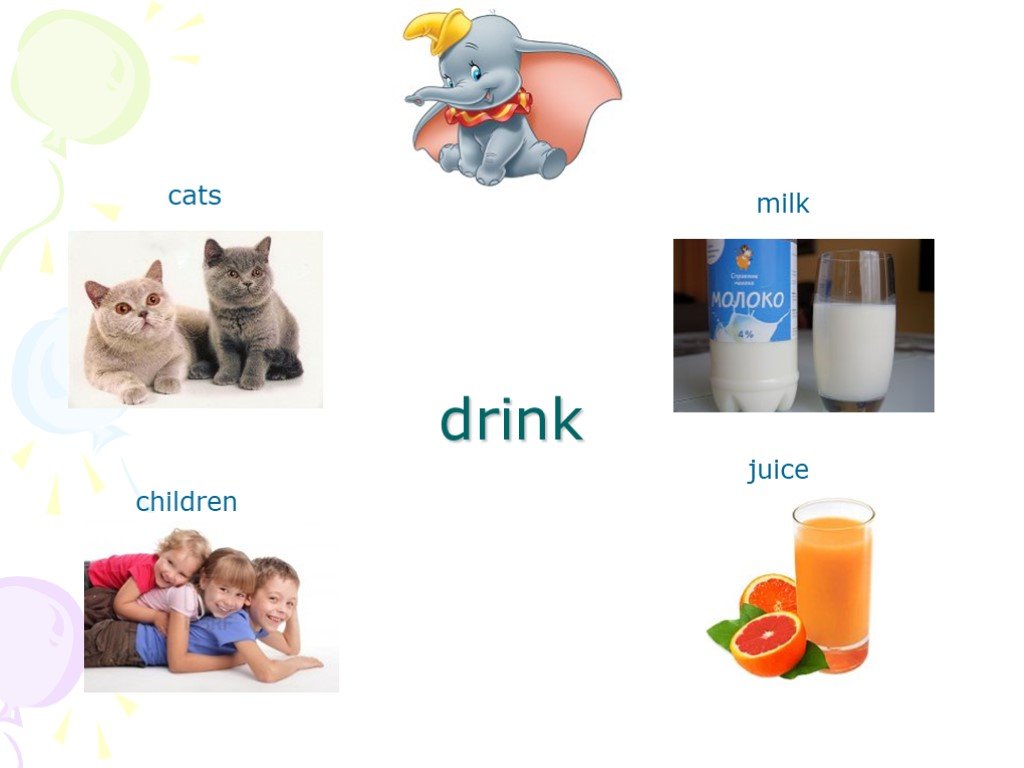 Cats milk yesterday. 1) Cats _____(Drink) Milk. Настоящее простое. My Cat not Drink Milk. A Cat can Drink a Cat can Drink Milk reading Elementary.