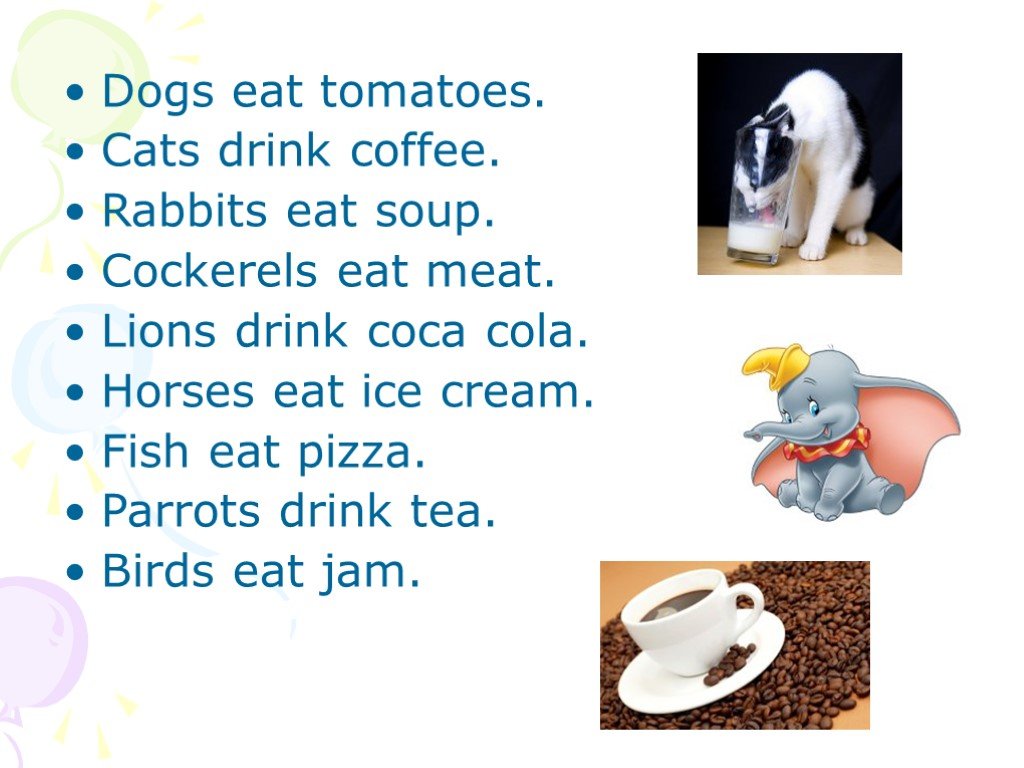 Rabbit Coffee. In Touch 1 Pets презентация. Закончи предложения Dogs eat Cats like girls Drink. Horse eat Rabbit. Dogs eat перевод на русский
