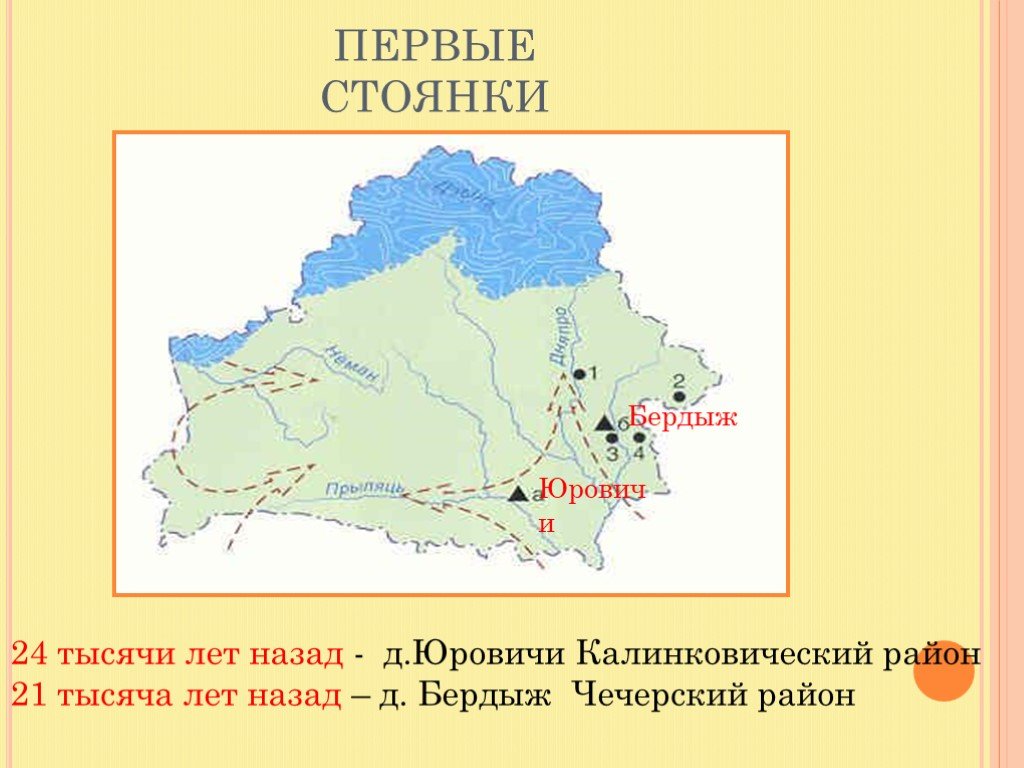 Первые стоянки. Бердыж стоянка. Стоянки первобытных людей на территории Белоруссии. Древнейшие стоянки на территории Беларуси. Бердыж и Юровичи.