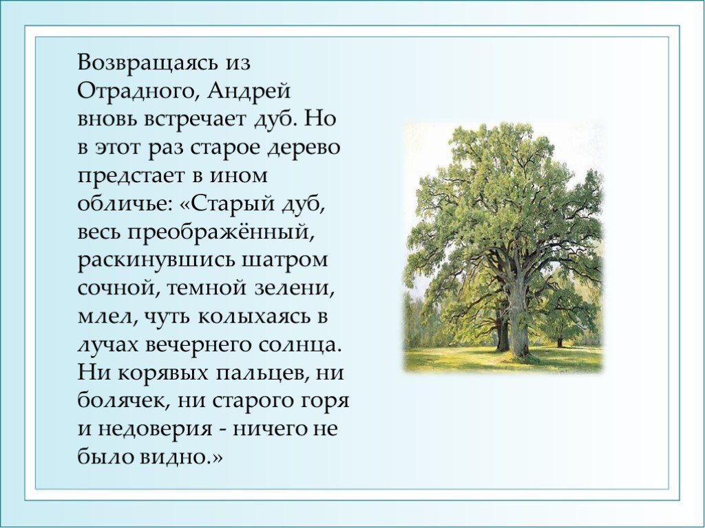 Дуб текст описание. Толстой описывает дуб. Лев Николаевич толстой дуб.