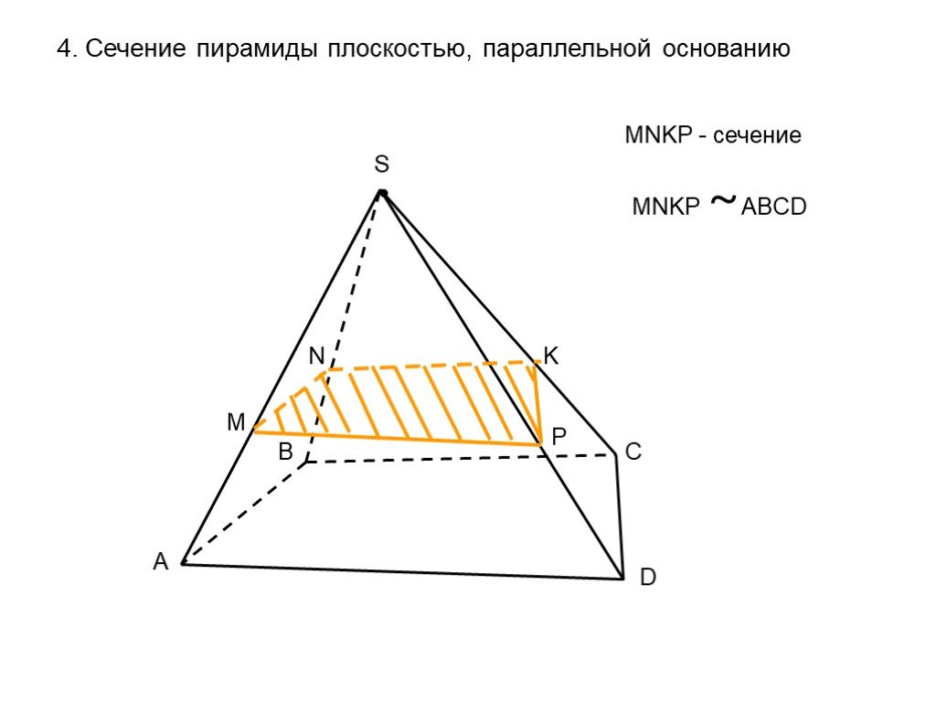 Сечение параллельное стороне пирамиды. Четырехугольная пирамида сечение параллельное основанию. Сечение параллельное основанию пирамиды. Сечение перпендикулярное основанию пирамиды. Сечение пирамиды плоскостью.
