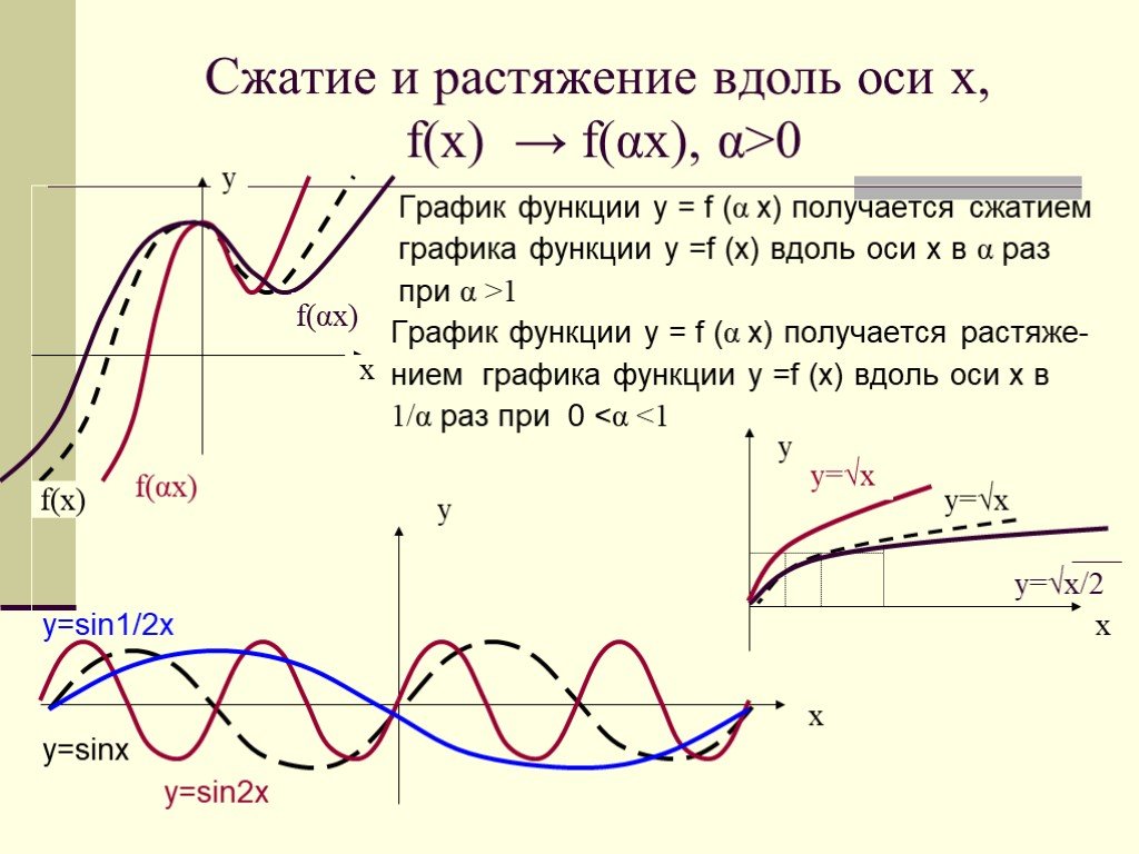 Сжатие графика. Преобразования Графика сжатие и растяжение. Сжатие Графика вдоль оси ох. Преобразование графиков растяжение и сжатие вдоль осей координат. Сжатие Графика функции к оси абсцисс.