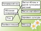 Колорадский жук. Яблонная плодожорка. Полёвки и мыши Тли. Листья яблонь и других культурных растений. Листья картофеля. Зерновые культуры. Яблоки