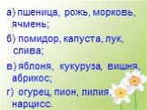 а) пшеница, рожь, ячмень; б) помидор, капуста, лук, в) яблоня, вишня, абрикос; г) пион, лилия, нарцисс. морковь, слива; кукуруза, огурец,