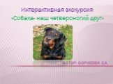 Автор: Борисова е.а. Интерактивная экскурсия «Собака- наш четвероногий друг»