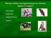 Какие птицы возвращаются из тёплых краёв в марте? снегири вороны свиристели грачи