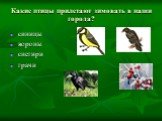Какие птицы прилетают зимовать в наши города? синицы вороны снегири грачи