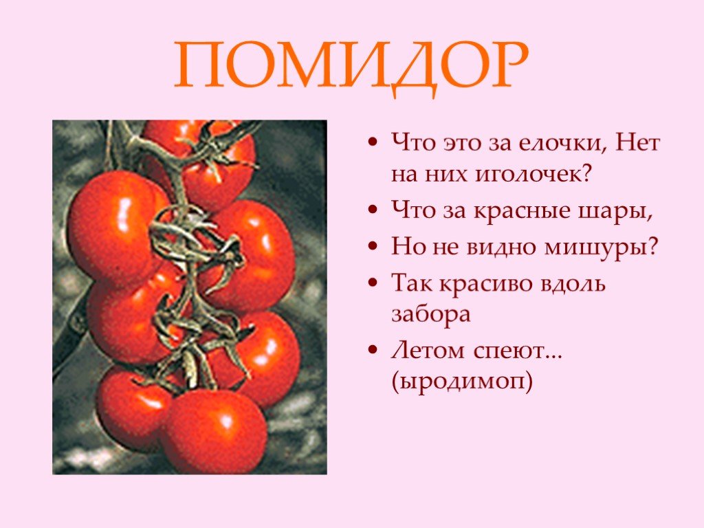 Томат это ягода или фрукт. Помидор. Доклад про помидор. Сообщение о томате.