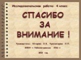 СПАСИБО ЗА ВНИМАНИЕ ! Руководители: Югарова О.Б., Красноперова О.Л. МБОУ « Рабочеостровская СОШ » 2012 год