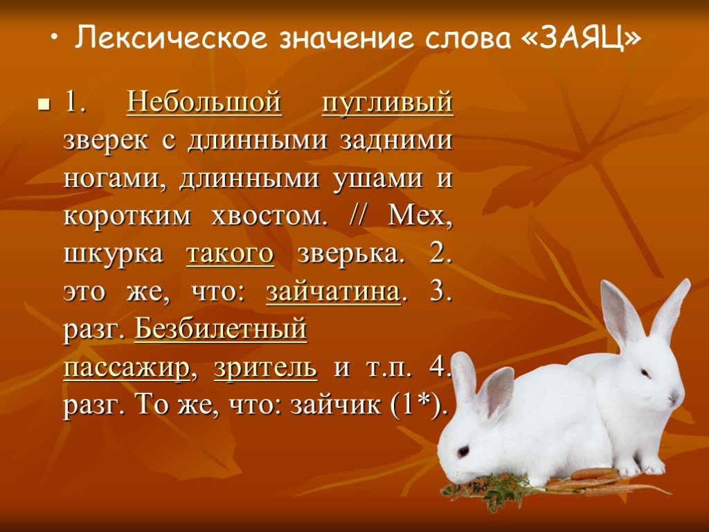 Предложения на слово зайцев. Предложение со словом заяц. Значение слова заяц. Предложение про зайца. Предложение со словом зая.
