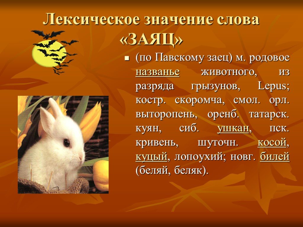 Что обозначает слово заяц. Значение слова заяц. Заяц для презентации. Обозначение слова заяц это. Заяц лексическое значение.