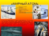 «МИРНЫЙ АТОМ». Атомный ледокол «Сибирь» Атомный реактор Атомная подводная лодка Установка для радиотерапии. В 1896 году Анри Беккерель открыл радиоактивность. 50 лет спустя над пустыней Лос-Аламос вырос ядовитый атомный «гриб». Ещё через 10 лет со стапелей ленинградской судоверфи сошёл первый в мире