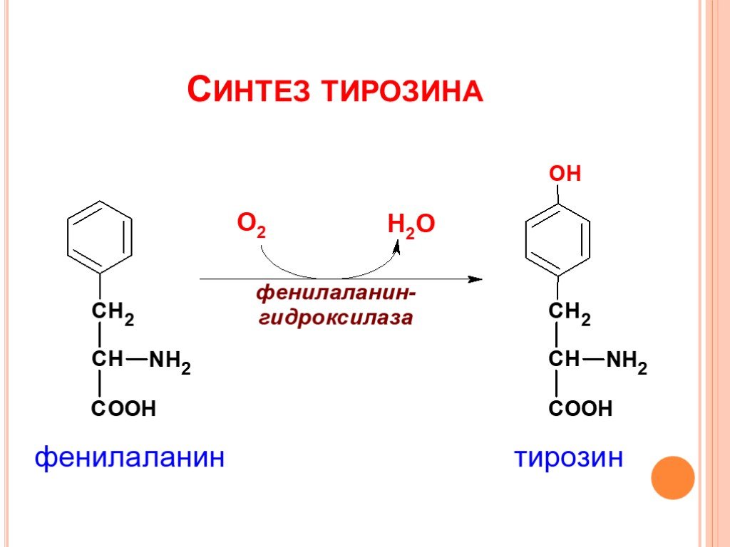 Пэт с тирозином. Тирозин синтезируется из фенилаланина. Синтез тирозина из фенилаланина реакция. Тирозин структурная формула. Синтез тирозина из фенилаланина.