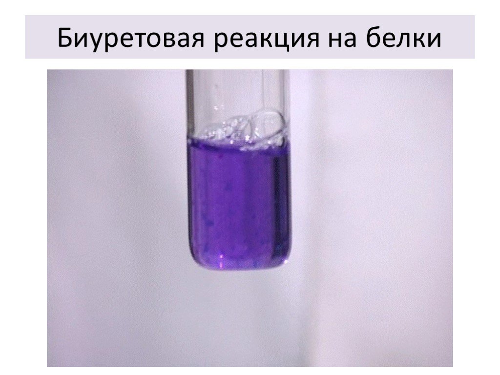 Фиолетовое соединение железа. Цветные реакции белков биуретовая реакция. Цветные реакции на белки биуретовая реакция. Качественная реакция на белок с гидроксидом меди 2. Биуретовая реакция фиолетовое окрашивание.