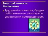 Виды собственности: Коллективная. Трудовой коллектив, будучи собственником, участвует в управлении производством.