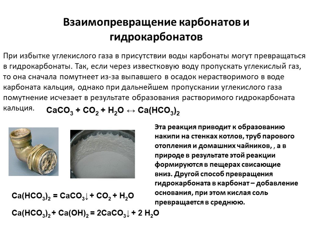 Углерод углекислый газ карбонат натрия карбонат кальция. Взаимопревращение карбонатов и гидрокарбонатов. Превращение карбонатов в гидрокарбонаты. Превращение карбонатов в гидрокарбонаты опыт. Карбонаты и гидрокарбонаты.