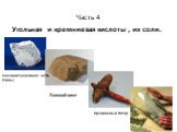 Часть 4. Угольная и кремниевая кислоты , их соли. каолинит (основная часть глины). Полевой шпат Кремниевый топор