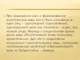 При зашивании ран и формировании анастомозов швы могут быть наложены в один ряд — однорядный (одноэтажный, одноярусный) шов или послойно — в два, три, четыре ряда. Наряду с соединением краев раны швы обеспечивают также остановку кровотечения. Для этого предложены специально гемостатические швы, напр