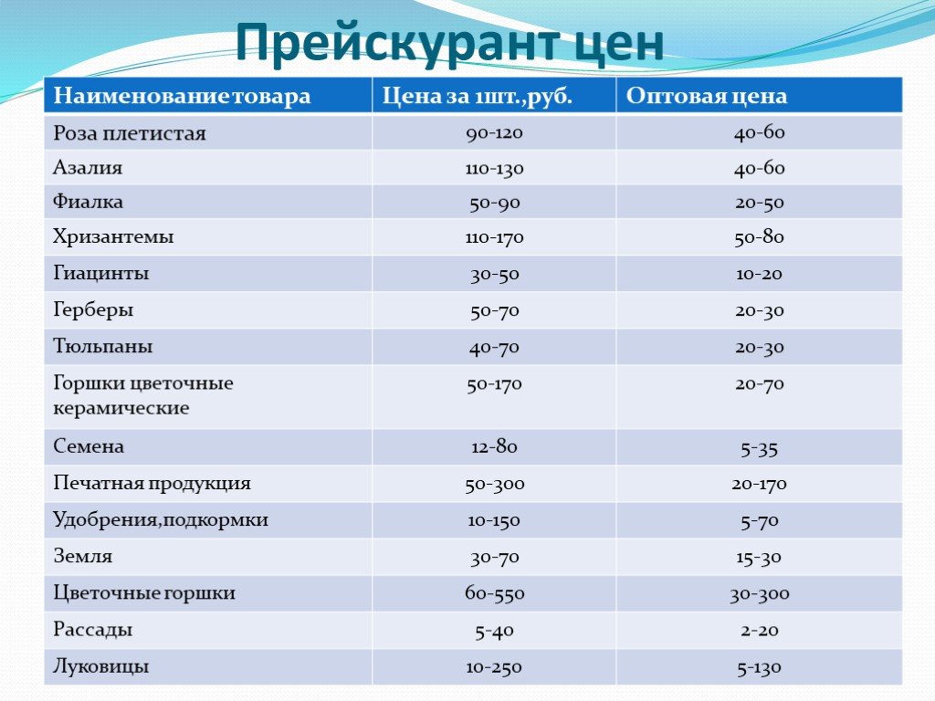 Название цен. Прейскурант цветочного магазина. Прейскурант товаров. Перечень товаров цветочного магазина. Прайс цветочного магазина.