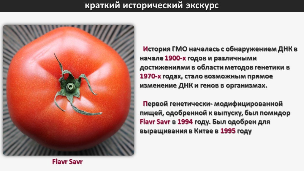 Любят ли томаты