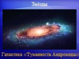 Галактика «Туманность Андромеды»