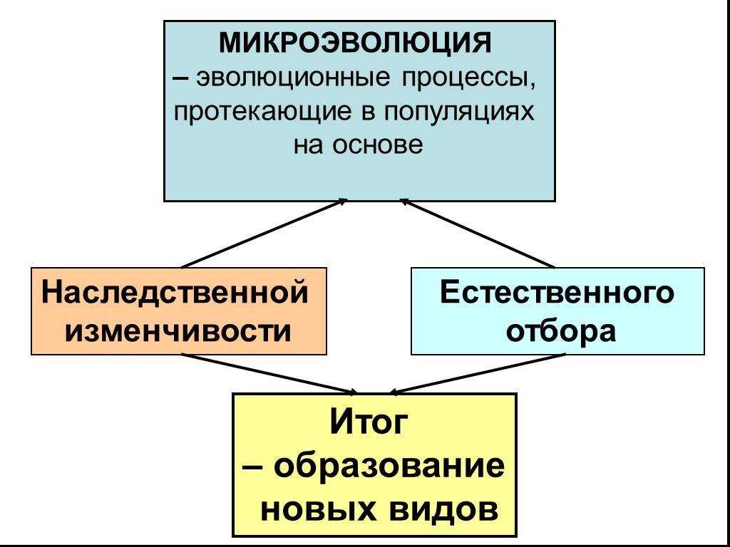 Схема эволюционного процесса