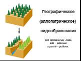 Географическое (аллопатрическое) видообразование. От латинских слов allo - разный и patria - родина.