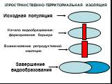 I.ПРОСТРАНСТВЕННО-ТЕРРИТОРИАЛЬНАЯ ИЗОЛЯЦИЯ. Исходная популяция. Начало видообразование: формирование барьера. Возникновение репродуктивной изоляции. Завершение видообразования