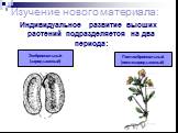 Индивидуальное развитие высших растений подразделяется на два периода: Эмбриональный (зародышевый). Постэмбриональный (послезародышевый)