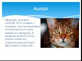 Например, компания «Lifestyle Pets» создала с помощью генной инженерии гипоаллергенного кота, названного Ашера ГД. В организм животного был введен некий ген, позволявший «обходить заболевания стороной». Ашера