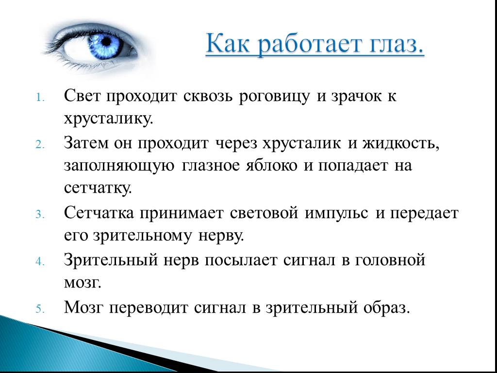 Работа глаза. Схема работы глаза. Принцип работы глаза человека. Механизм работы глаза. Последовательность органов зрения.