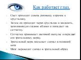 Свет проходит сквозь роговицу и зрачок к хрусталику. Затем он проходит через хрусталик и жидкость, заполняющую глазное яблоко и попадает на сетчатку. Сетчатка принимает световой импульс и передает его зрительному нерву. Зрительный нерв посылает сигнал в головной мозг. Мозг переводит сигнал в зритель