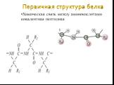 Первичная структура белка. Химическая связь между аминокислотами ковалентная пептидная
