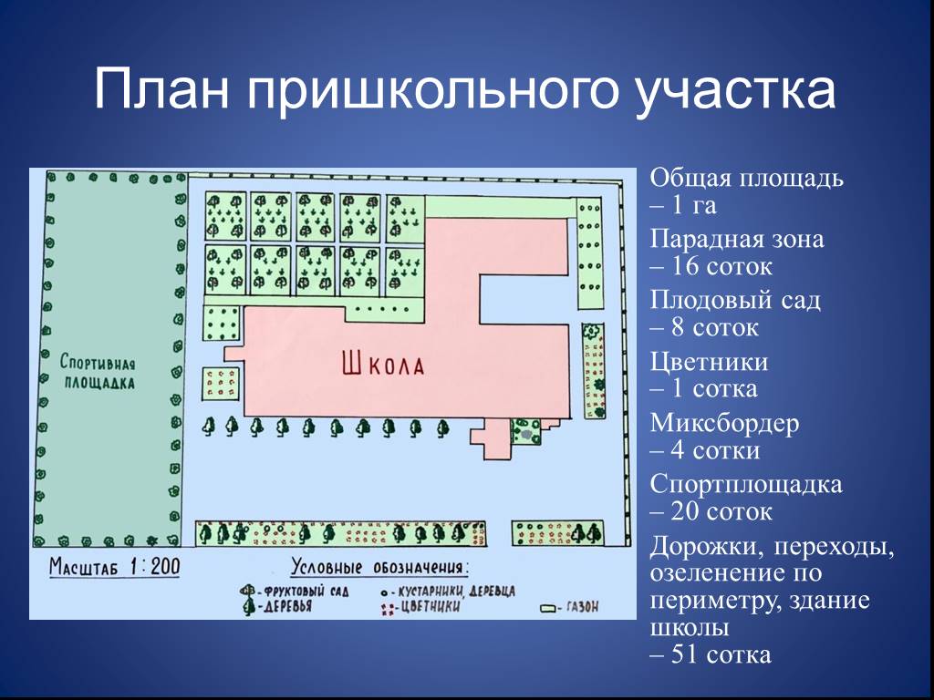 План работы учебно опытного участка