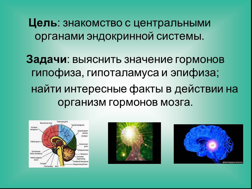 Гормоны презентация по биологии 11 класс