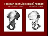 Тазовая кость (os coxae) правая вид с внутренней стороны вид с наружной стороны
