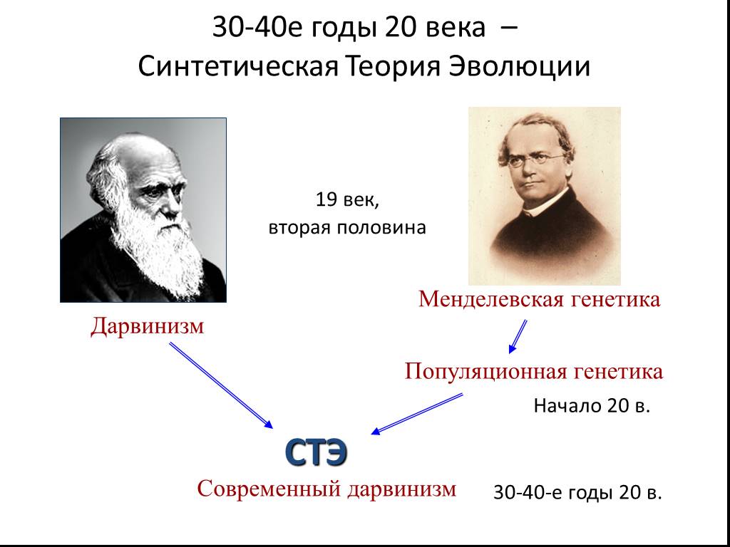 Презентация современная теория эволюции 9 класс