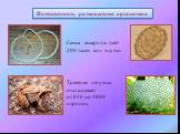 Самка аскариды даёт 200 тысяч яиц в сутки. Интенсивность размножения организмов. Травяная лягушка откладывает от 840 до 4000 икринок.