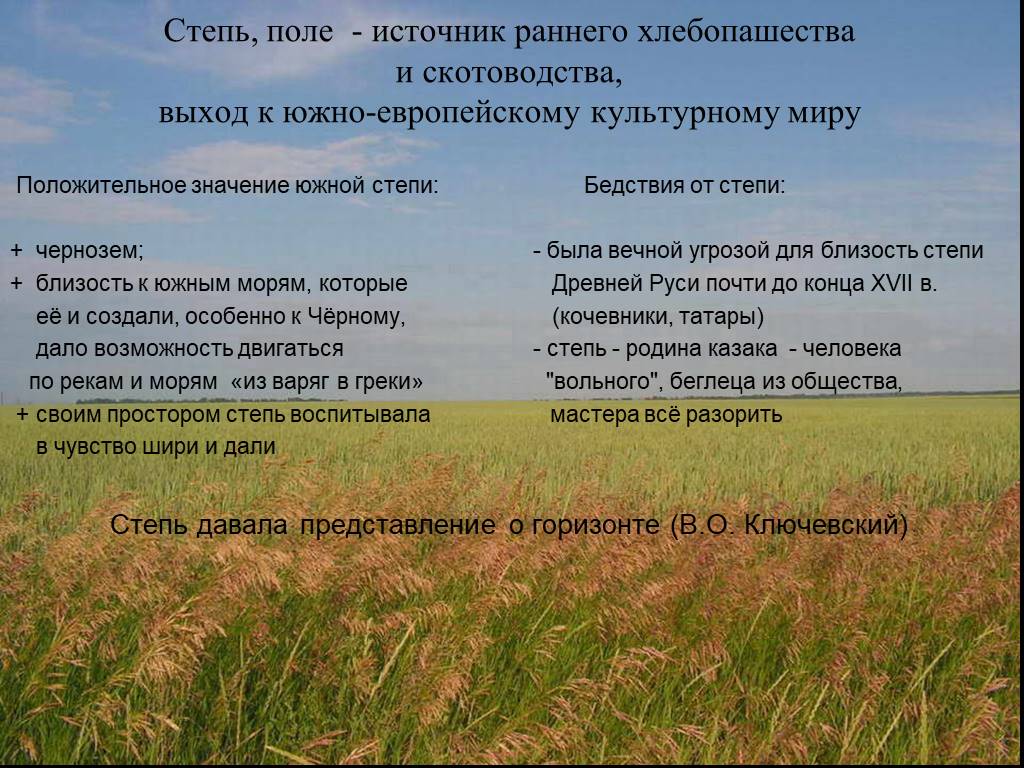 Что обозначает поле. Значение степи. Источники поля. Степи и человек. Значение степи для человека.