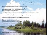 Лес - основа русского государства. Лес оказывал хозяйственную, политическую и нравственную помощь : + давал материал для строительства (сосна, дуб) + и возможность отапливать и освещать избу + был источником лыка, домашней посуды и т.д., + пушного зверя и лесной пчелы; + был убежищем от врагов, заме