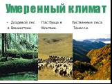 Дождевой лес Пастбища в Лиственные леса в Вашингтоне. Монтане. Тенесси.